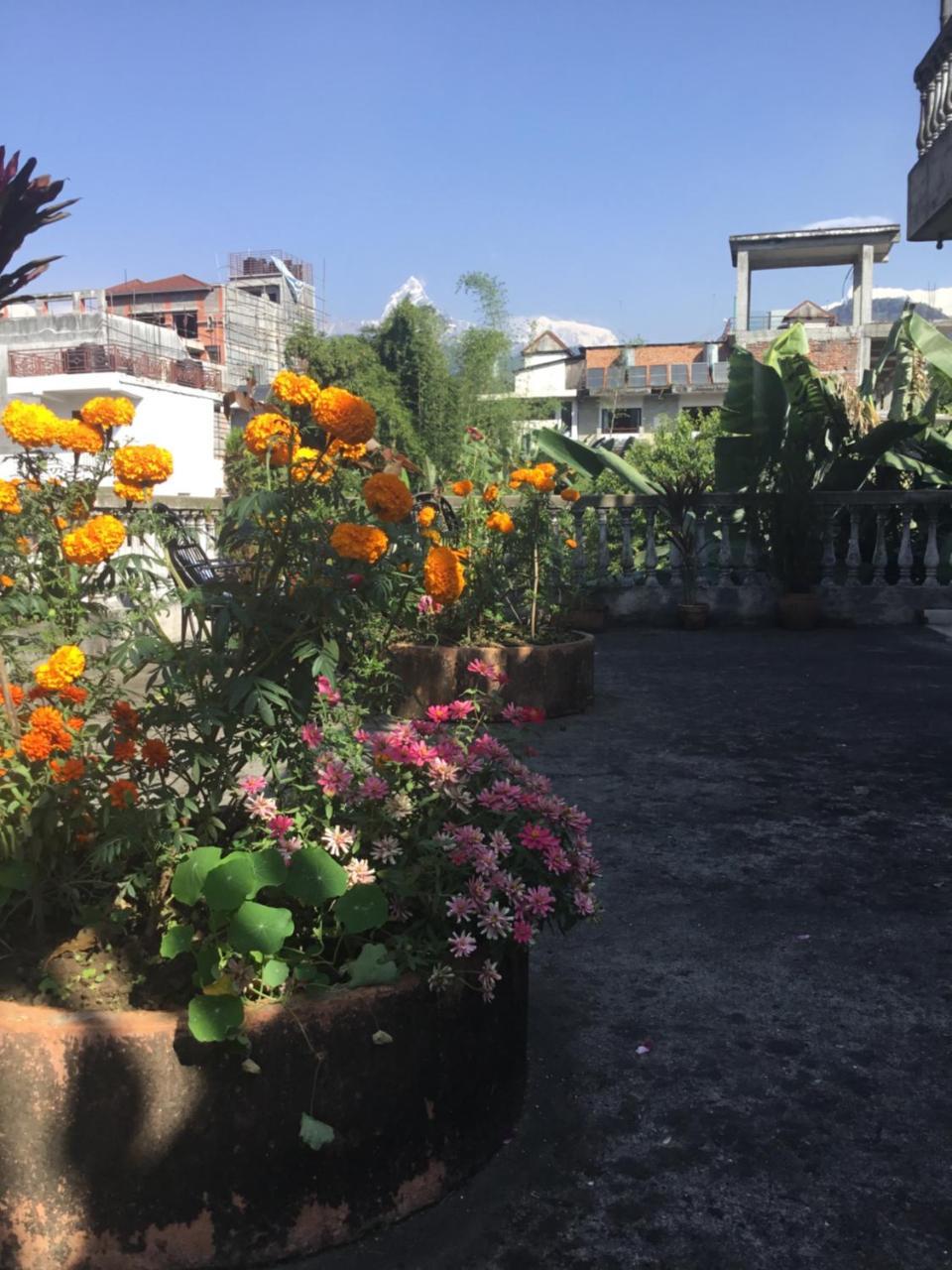 Sacred Valley Inn Pokhara Bagian luar foto